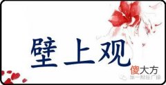 一个默默消失的出租车头枕广告公司丨壁上观