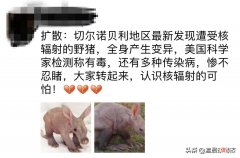 图片里的动物是土豚不是野猪 很像野猪的动物