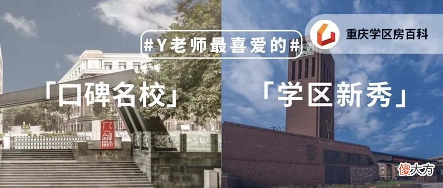 来了！Y老师最喜爱的TOP学区榜单