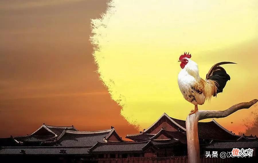 五更鸡都是啥意思 五更鸡的意思