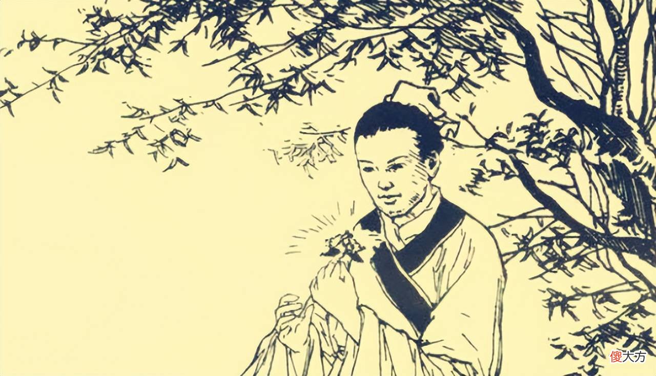 【历史故事】民间故事：郎中采药被草割伤，当晚头顶长出绿叶，道士：你有福了