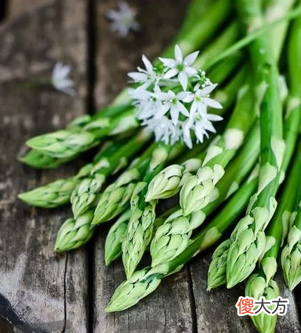 春天的味道是什么 春天的味道是什么呢