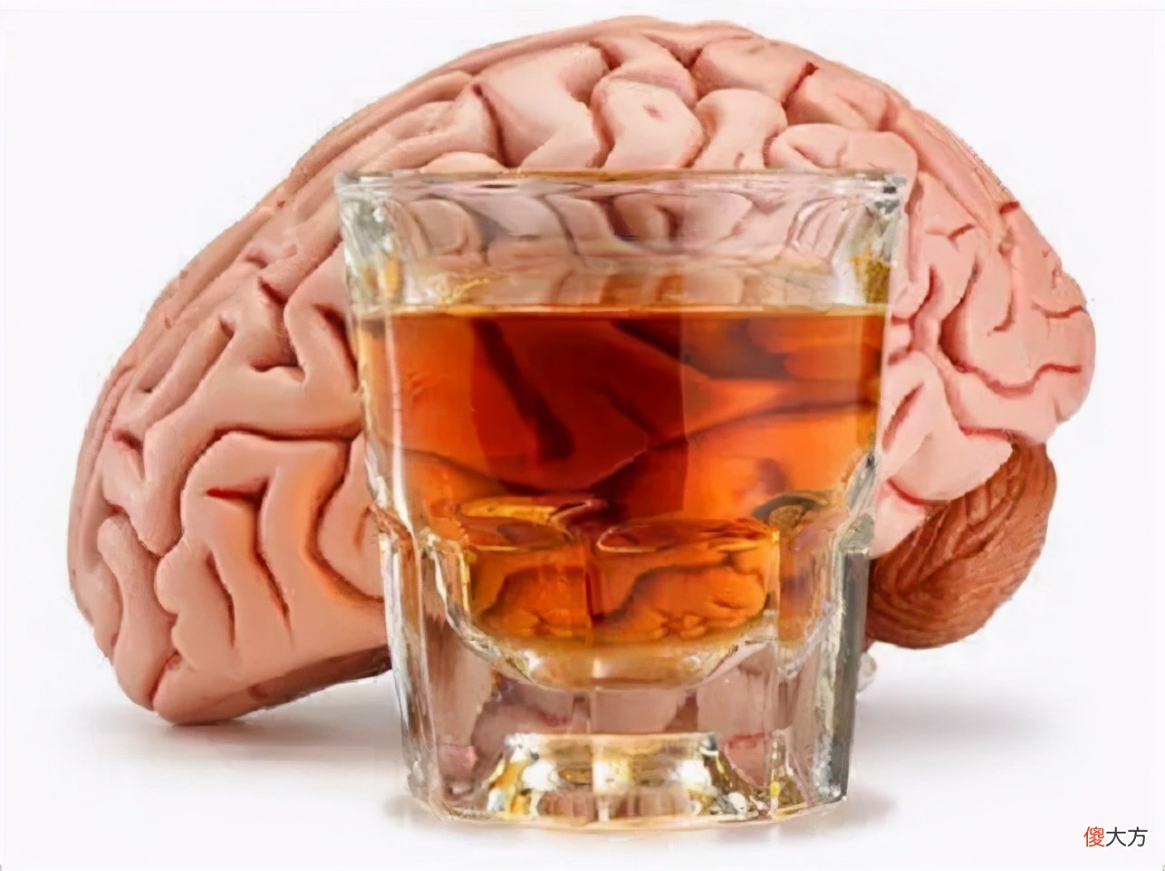 一瓶红酒能抵多少白酒 喝了一瓶红酒相当于多少白酒