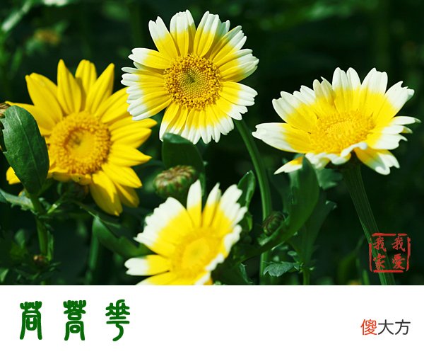 手机号码尾号是啥 手机号尾号什么数好