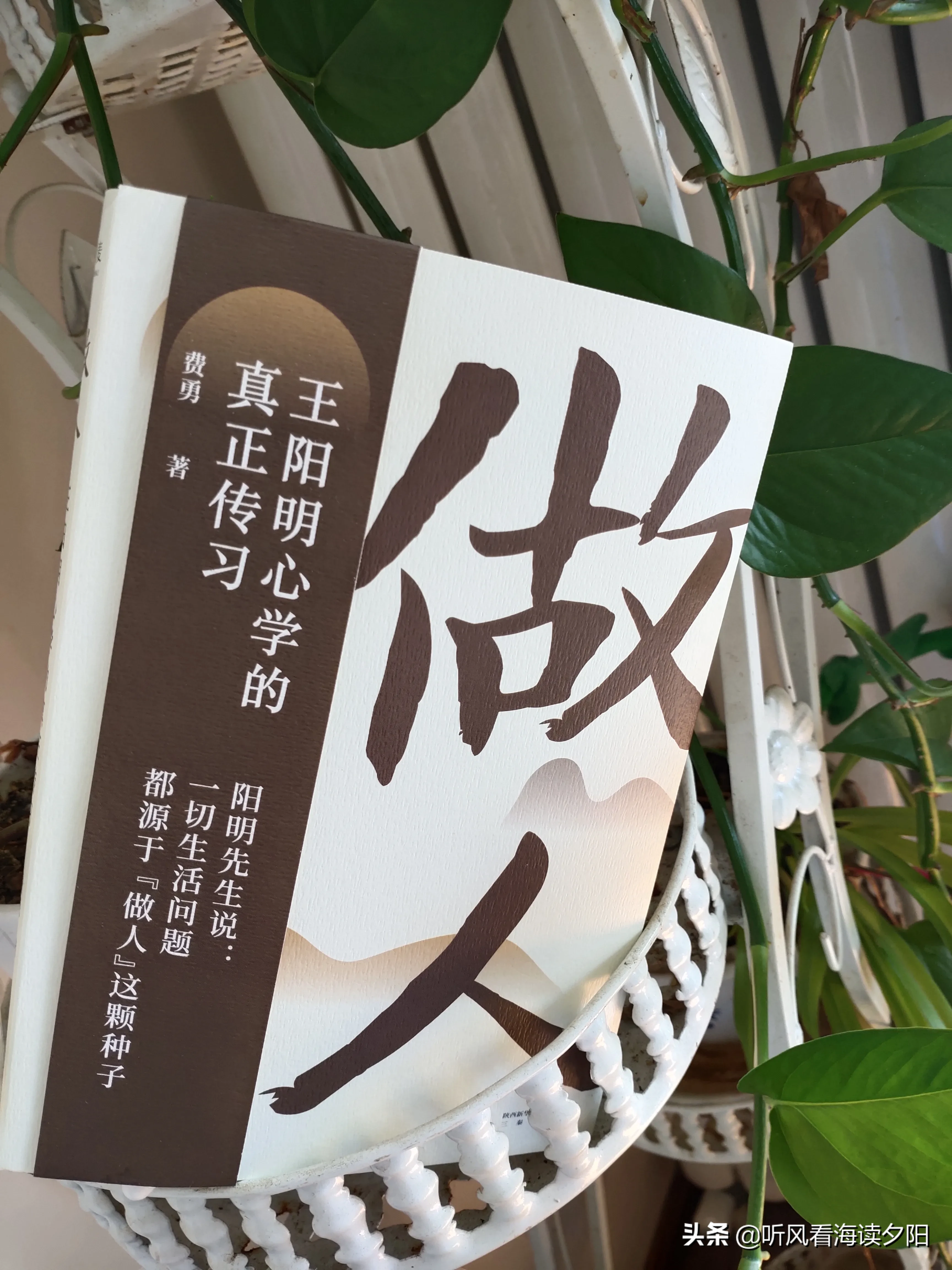 有个小和尚整天都很忙碌，但修行上好像没有什么进步,他去请老和尚为什么我整天这么