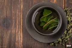 桑叶养蚕和桑叶茶方法 桑叶茶的桑叶与养蚕的桑叶有何不同