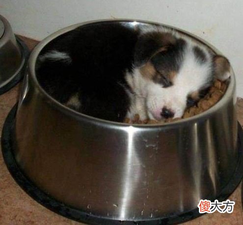 手机摇身一变就是遥控器 手机遥控器什么好