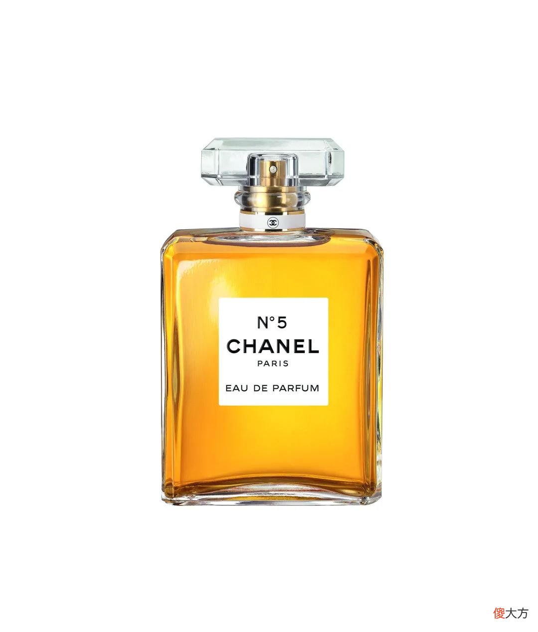 参加CHANEL私享派对是什么体验？Lanvin头一次在中国办大秀？?「每周时报」