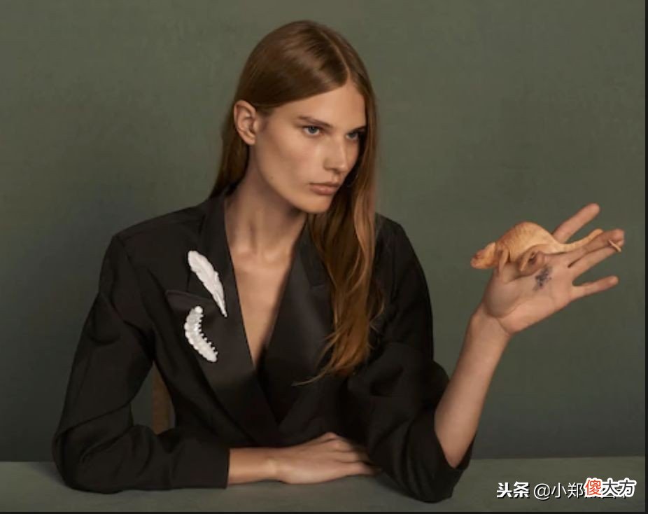 胸针才是我们职业女性的好伙伴 职业装胸针