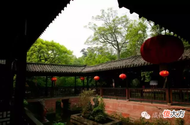 除了乐山大佛 除了乐山大佛还有什么大佛