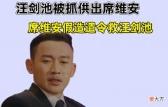 【历史故事】传家：汪剑池被抓供出席维安，席维安假造遣令救汪剑池