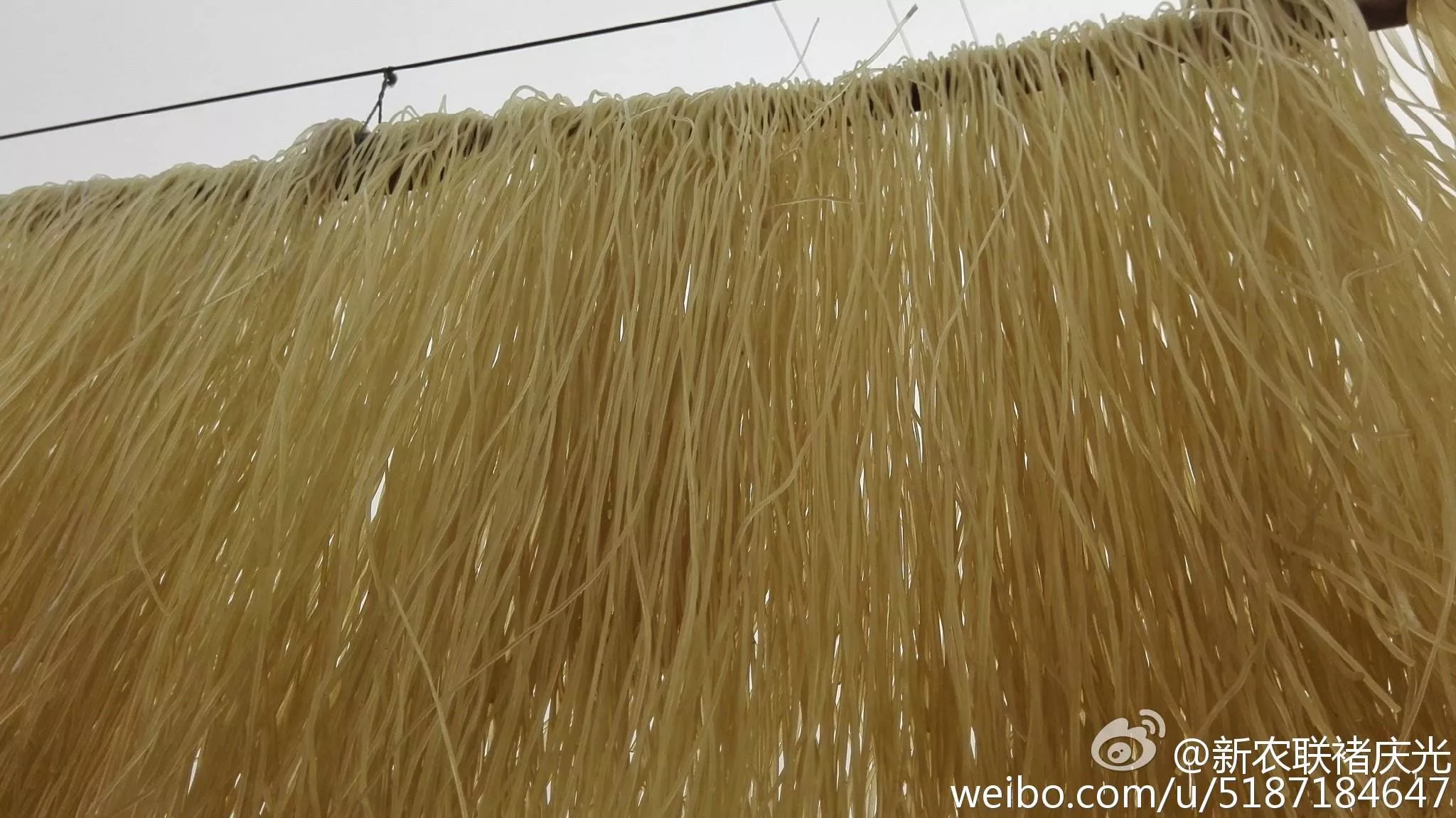 木薯，是什么东东？