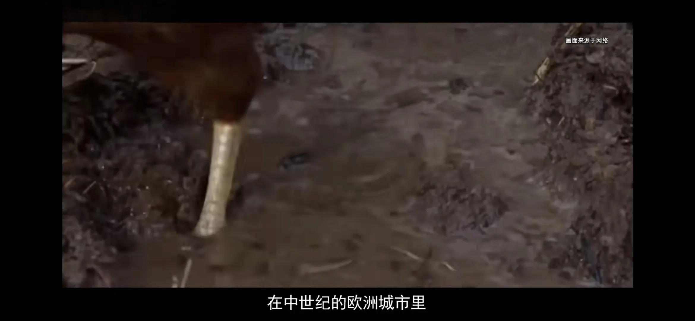 你会接受自己和猪一起住在猪圈，并随时面对它们的排泄吗？你能接受满身的虱子