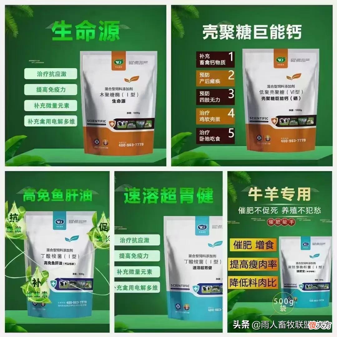 牛羊缺乏微量元素会怎么样 牛羊缺乏营养和微量元素的危害