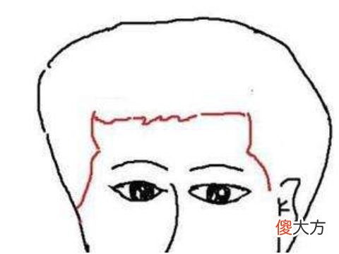 如何从面相看一个人的智商不高
