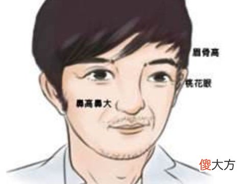 哪些是做生意能发财的面相