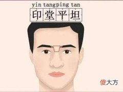 面相分析你会依靠什么能发财