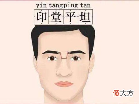 面相分析你会依靠什么能发财