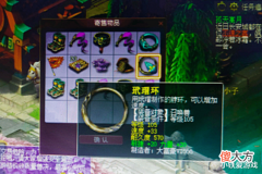 【游戏迷】梦幻西游:天启最烈狂豹!极限3400攻抓鬼一刀爆3万,4刀秒血鬼!