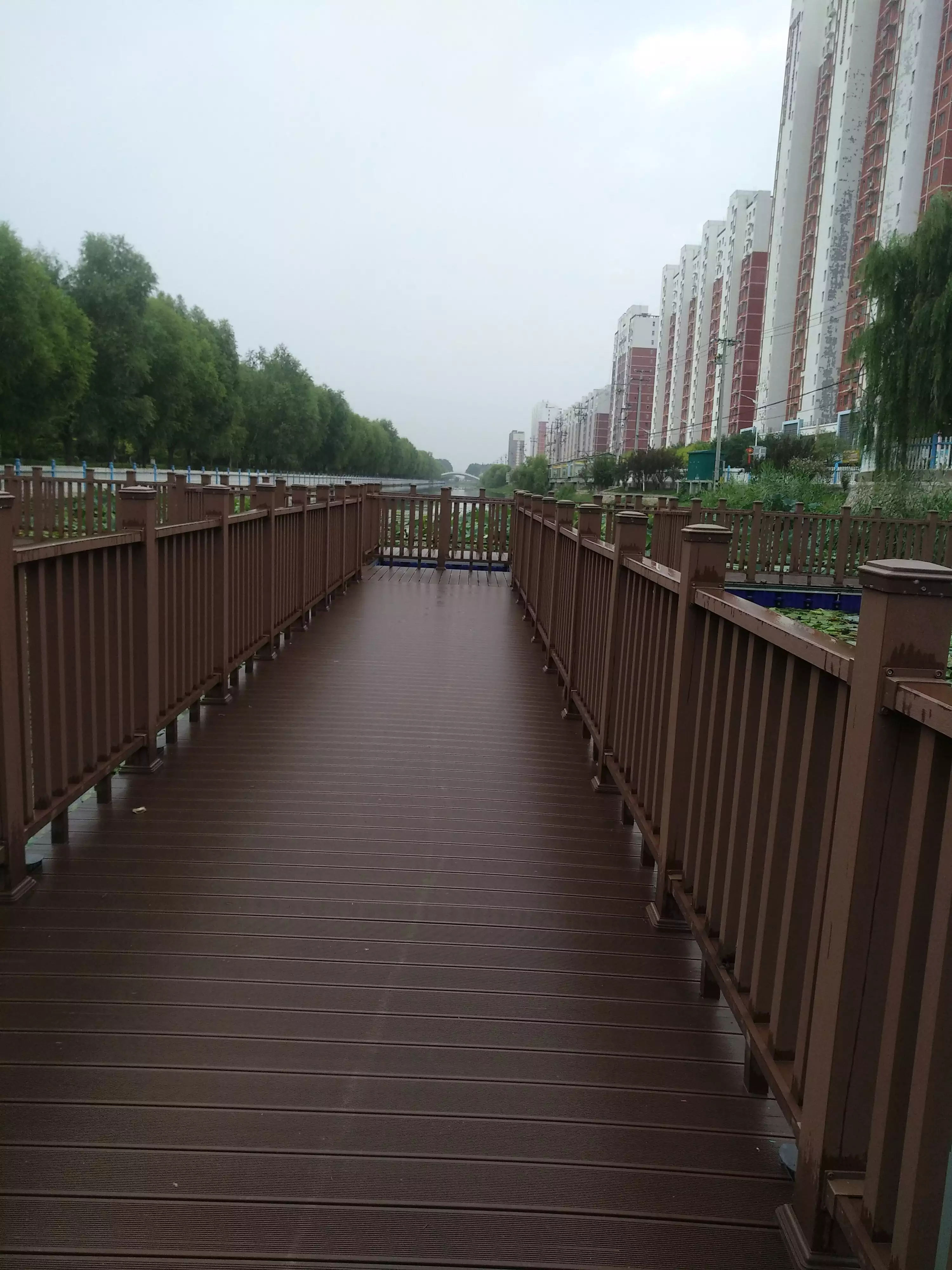 有时候，会想哭，嚎啕大哭，但又知道哭有什么用,终于相信三姐说过，人得信命
