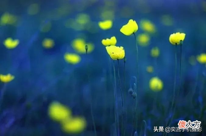 手机摄影镜头详解 拍手机壳用什么镜头好