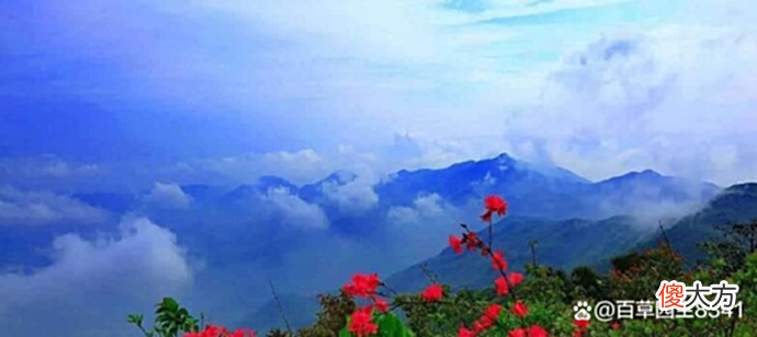 【爱历史】国家风景名胜区——杨岐山的山名由来