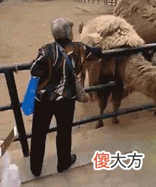 【游戏世界】薅垮网易雷火行动：所有人进游就送5000，还有1000万现金正在派发
