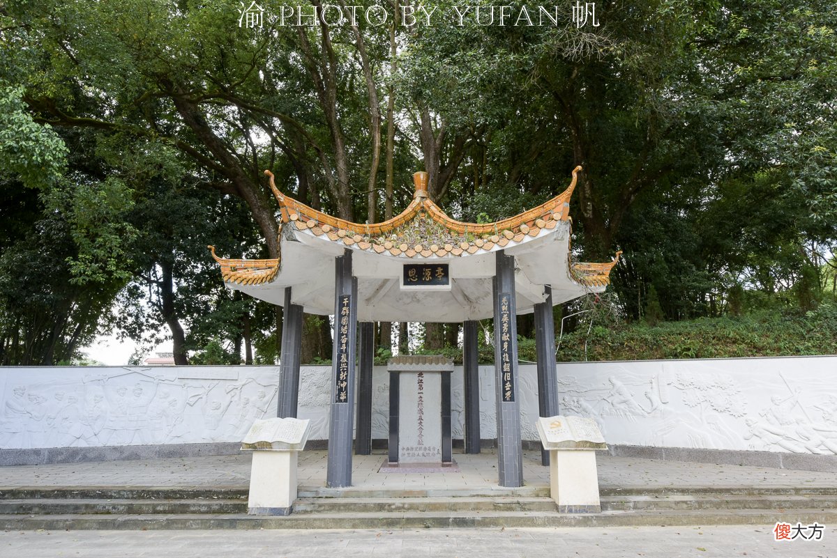 广东的国家森林乡村，隐于珠三角后花园的古香樟林，至今鲜为人知