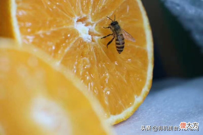 吃柑橘更容易上火您知道吗 吃柑橘上火吗?