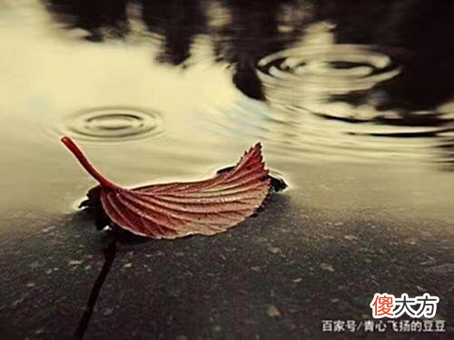 【历史故事】在这个动荡的世界里，如何才能更早预见、更快行动？