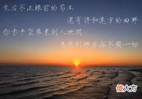 生活不止眼前的苟且 生活不止眼前的苟且是什么意思