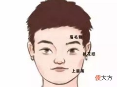 有哪些男人易出轨的面相