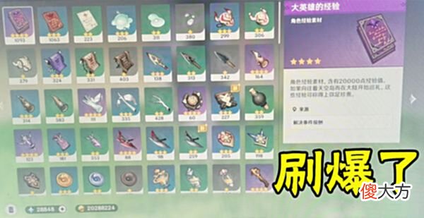 【游戏迷】原神玩家长草期住地脉花，大英雄经验书被刷爆，从背包里吐出来了