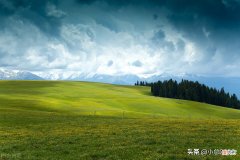 你是一个佛系的人吗？