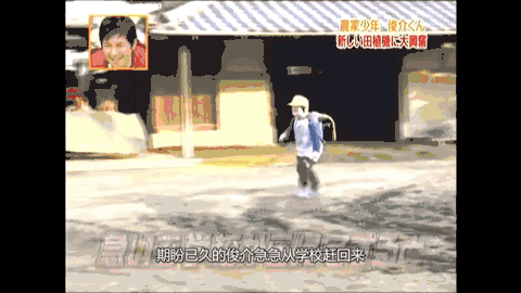 一个梦想成为农民的日本小孩 梦想当农民的日本孩子