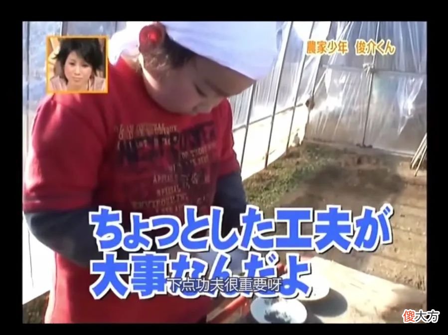 一个梦想成为农民的日本小孩 梦想当农民的日本孩子
