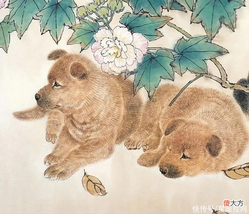 【十二星座】一生被家人庇护，衣食无忧的生肖，有靠山，不缺钱，福气大