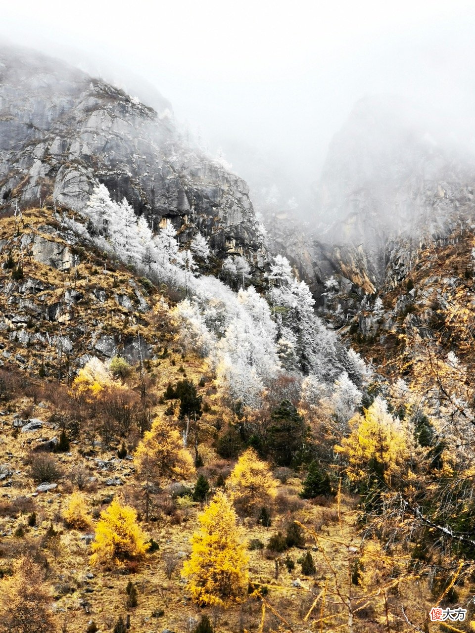 大山里的冷酷仙境，一出世就惊艳四方的毕棚沟