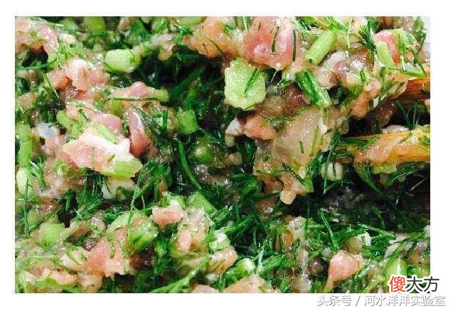 水饺照我的步骤包 包水饺过程照片步骤