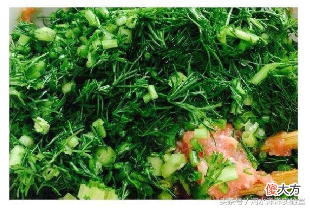 水饺照我的步骤包 包水饺过程照片步骤