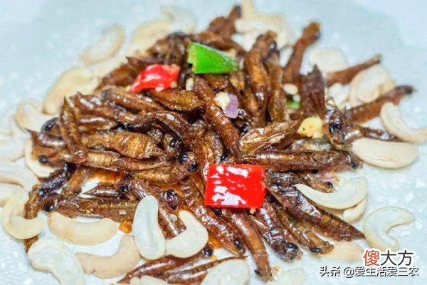 农村常见的水蜻蜓 蜻蜓在农村叫什么