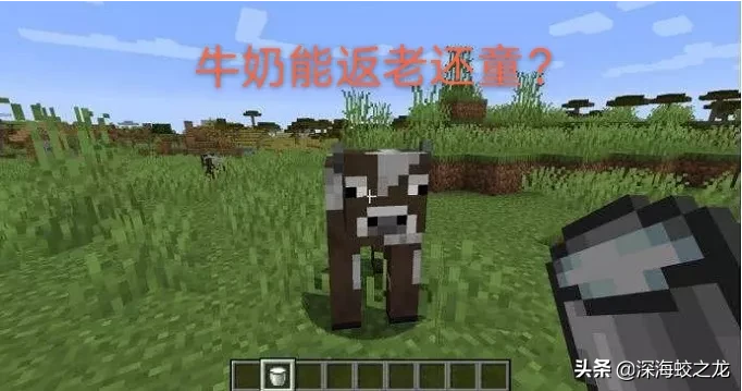 我的世界里几个错误知识点，本人在新手期就被坑过，你被坑过吗？