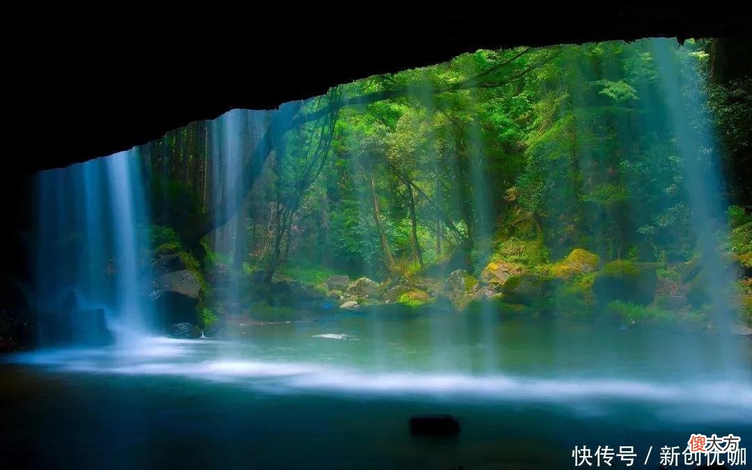 【十二星座】6月底，桃花娇艳，天赐良缘，爱情枯木逢春，牵手真爱的三个生肖