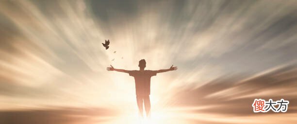 在我们出生之前,我们就被问到一个问题你这一生想学什么?