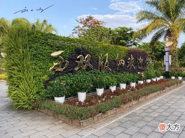 云南省西双版纳傣族自治州的海拔多少米 西双版纳海拔多少千米