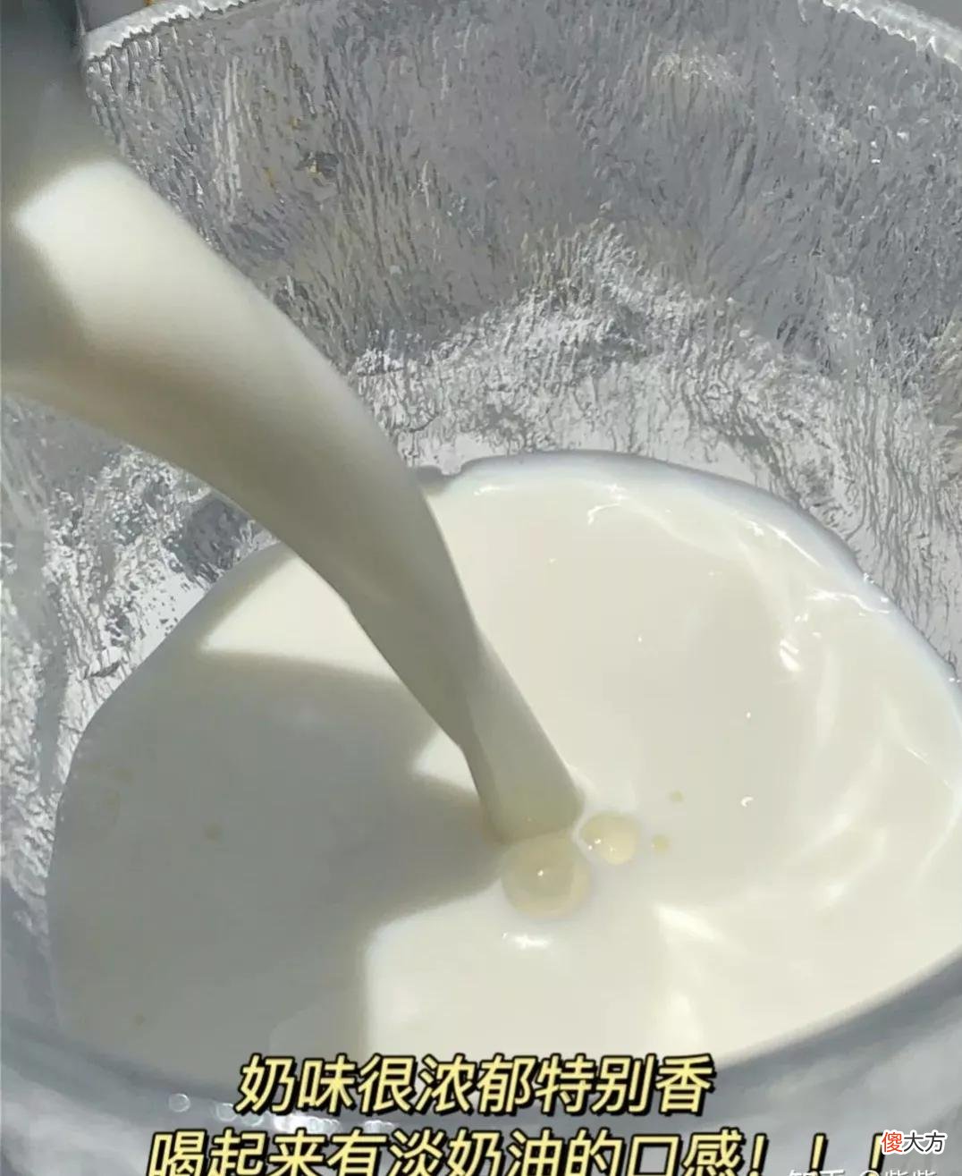 大家喝过的最好喝的纯牛奶是什么 纯牛奶哪个最好喝