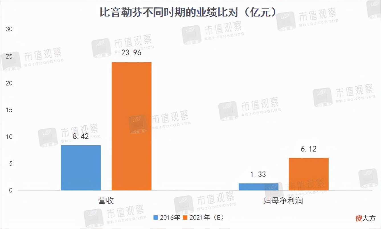 比音勒芬的牛股密码 比音勒芬股票
