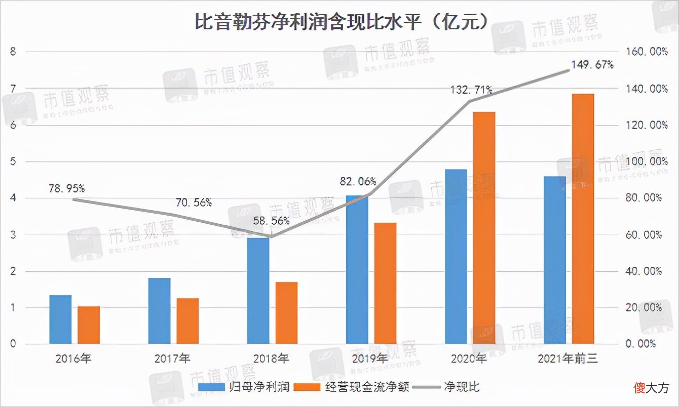 比音勒芬的牛股密码 比音勒芬股票