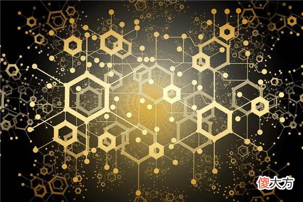 这种手机才适合我们币圈 币圈里面有什么好的手机