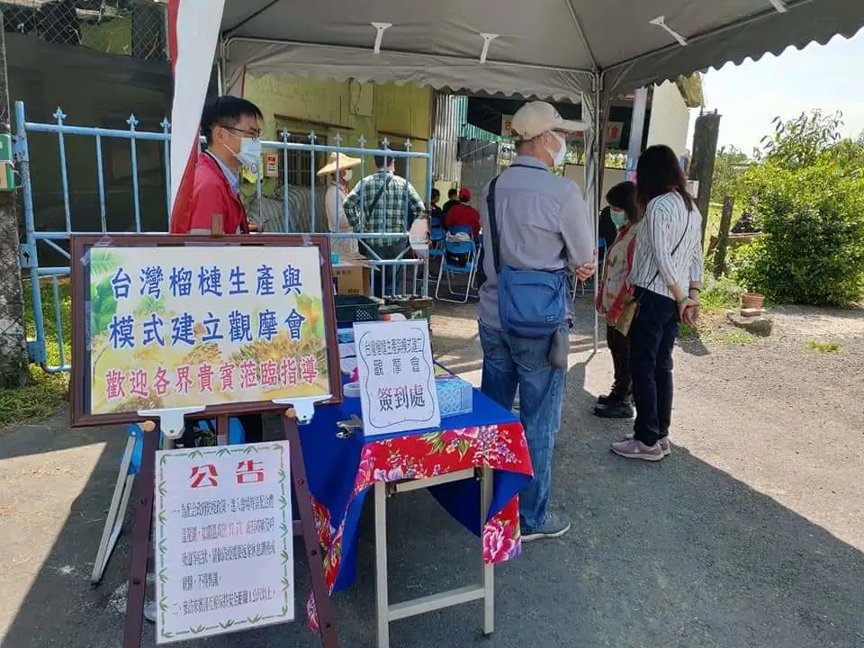 不出国就能吃到猫山王榴莲鲜果 猫山王榴莲鲜果可以进口了吗